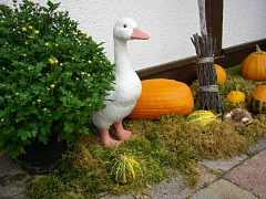 ente ente